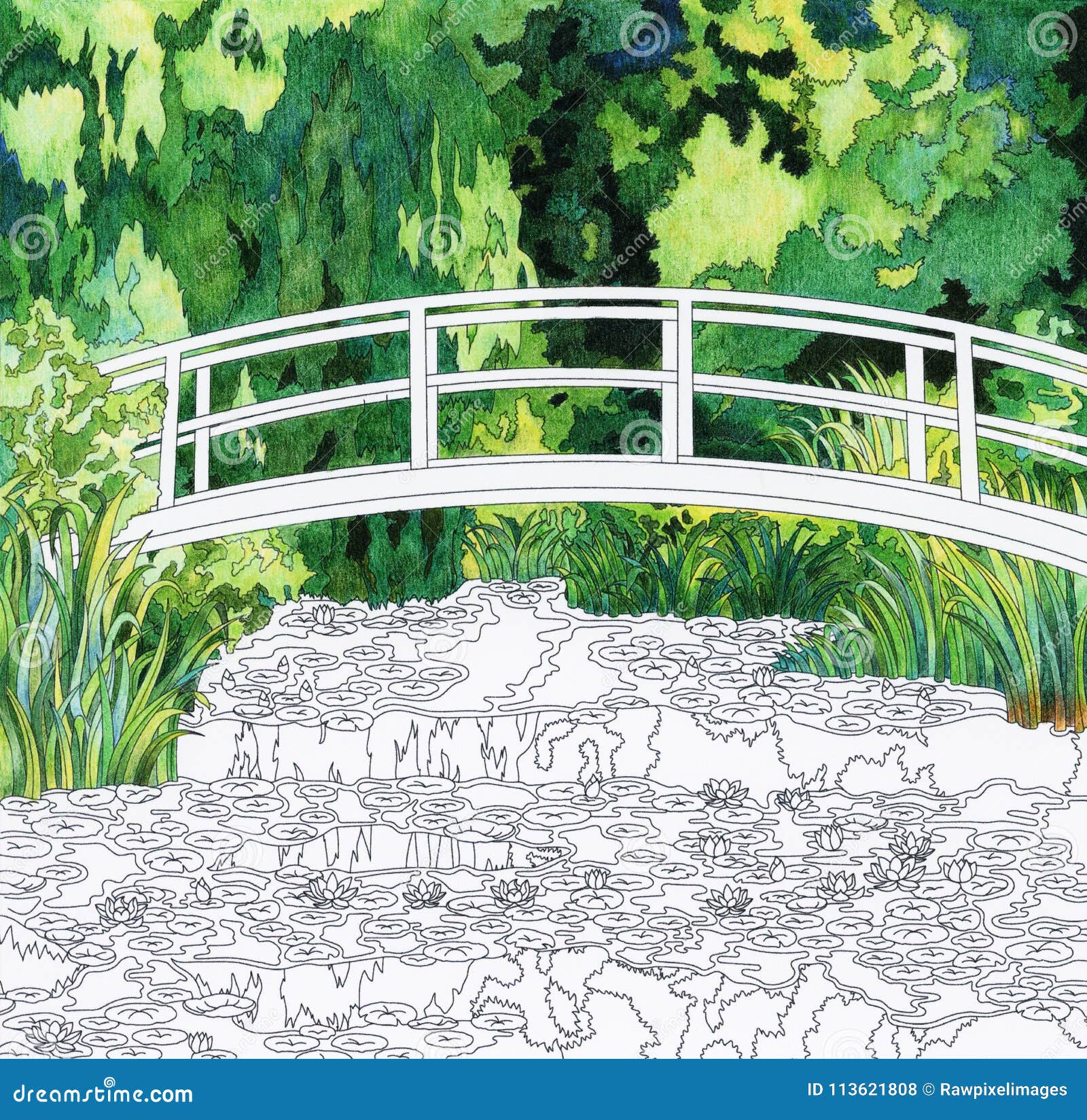 the-water-lily-pond-1899-by-claude-monet-adult-coloring-page-stock