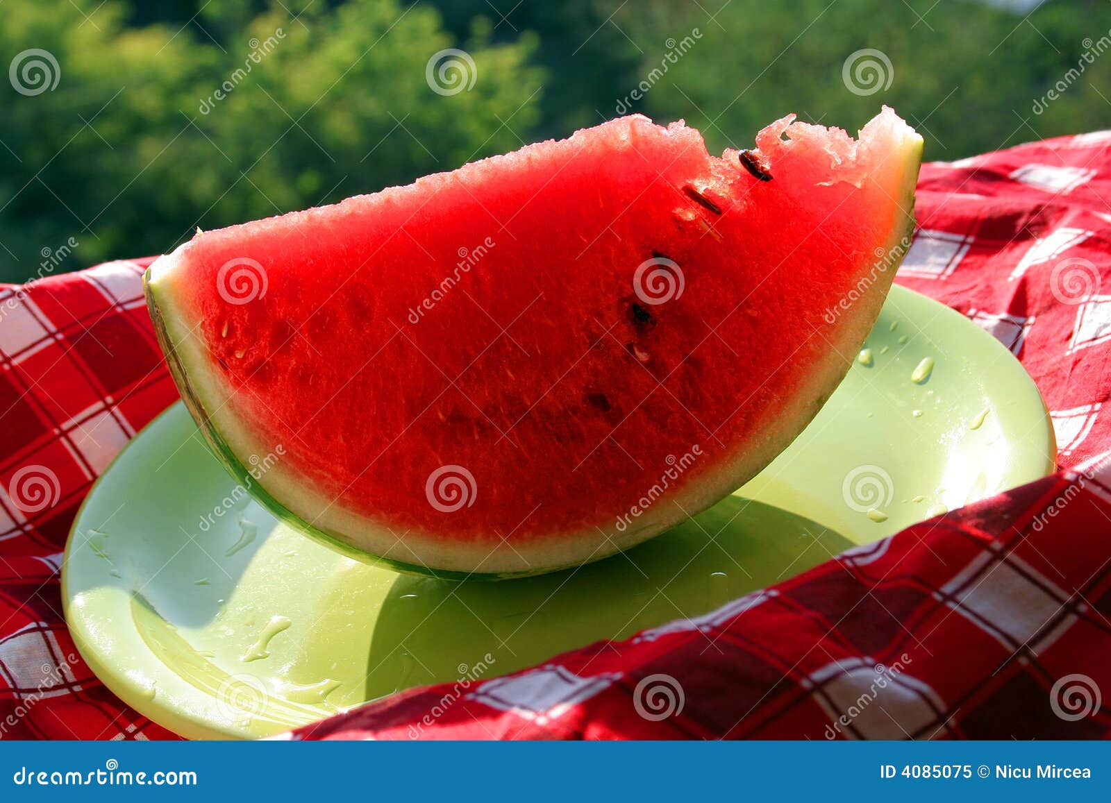 Water melon with seeds stock image. Image of refresh, refreshing 4085075
