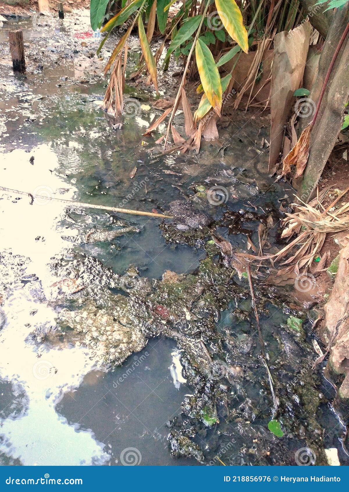 Water that Mixes with Waste, Dirty Water. Stock Photo Image