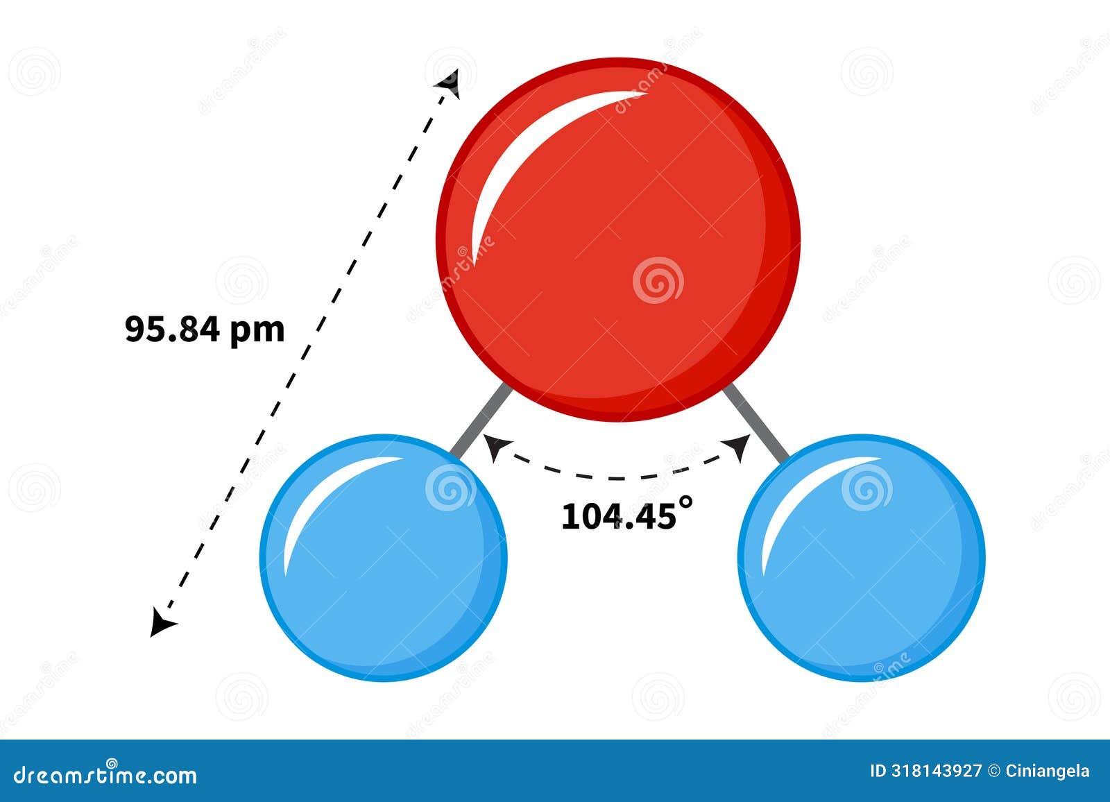 Water Molecule with Bond Angle and Length Stock Vector Illustration