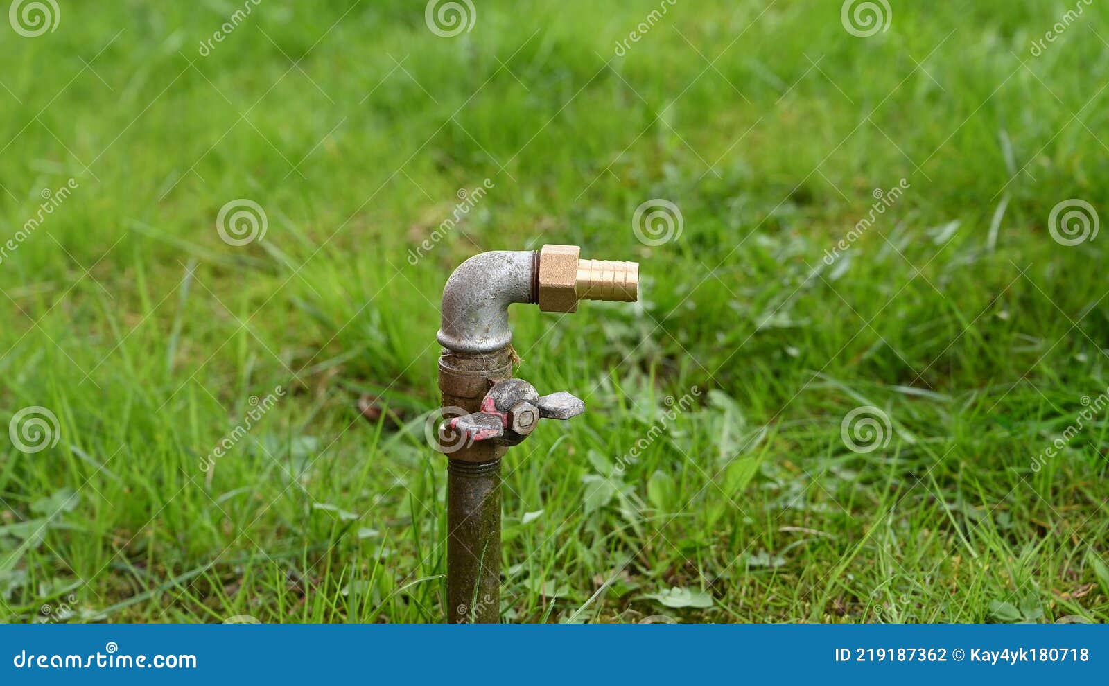 Water Pipe for Hose in Grass Stock Photo Image of irrigation, backyard 219187362