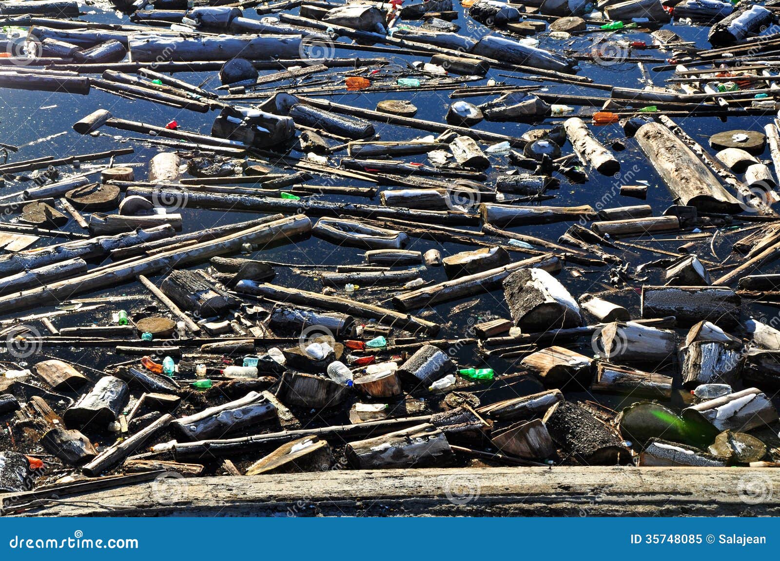 Water Pollution In A Lake With Garbage Royalty Free Stock Photo Image