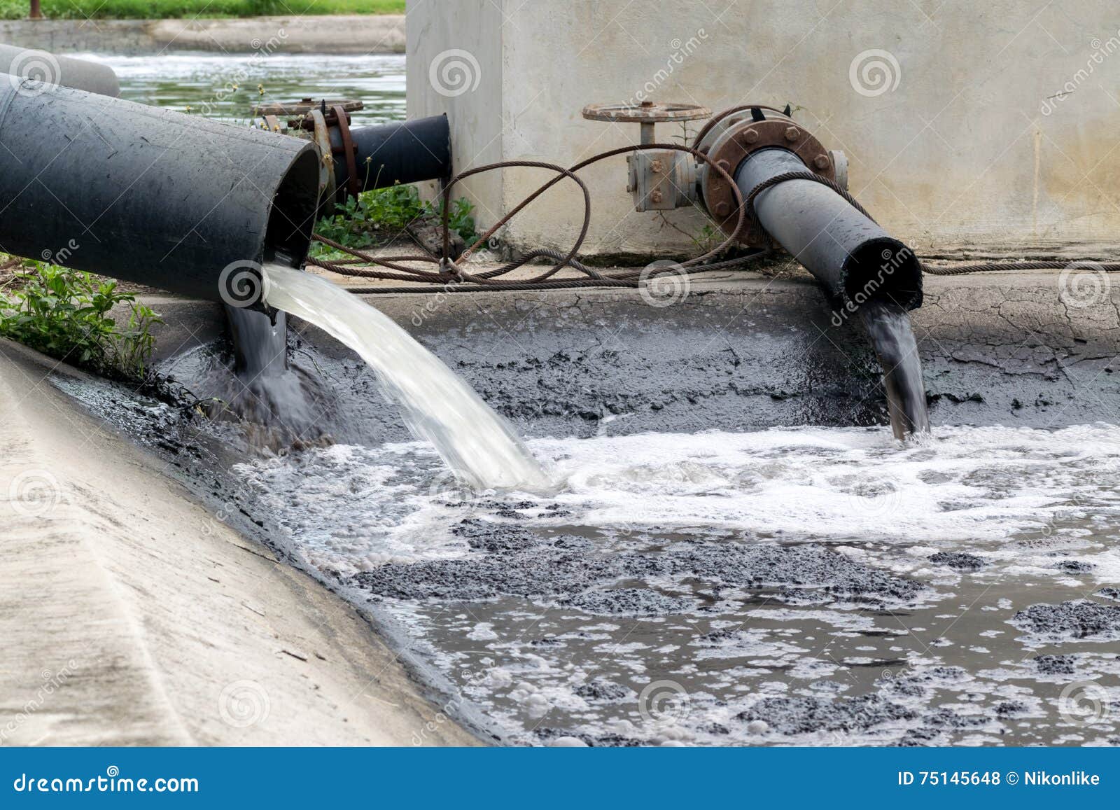 Water pollution in river. stock photo. Image of flowing - 75145648