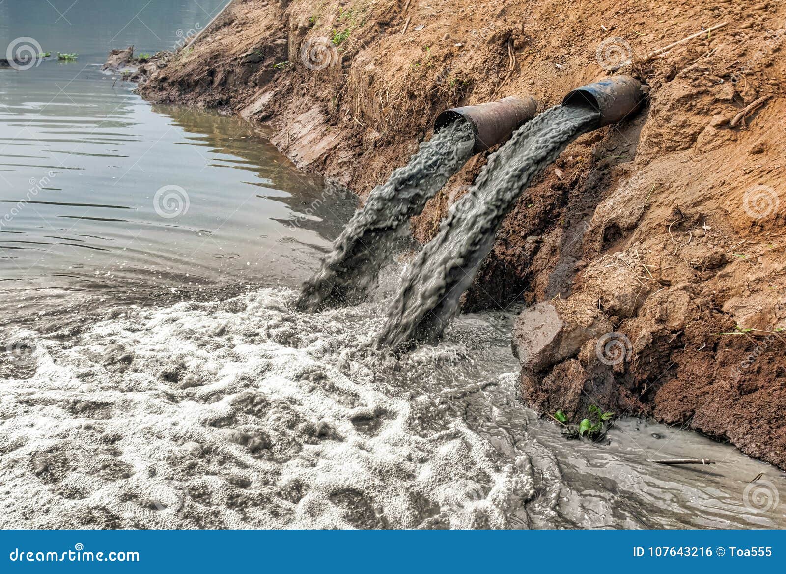 Water pollution in river. stock photo. Image of background - 107643216
