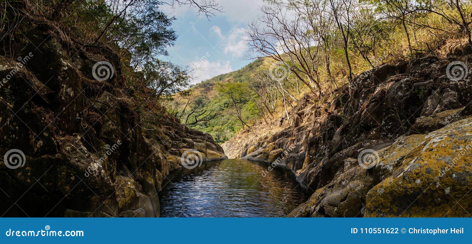 water pond in el imposible national park, honduras.