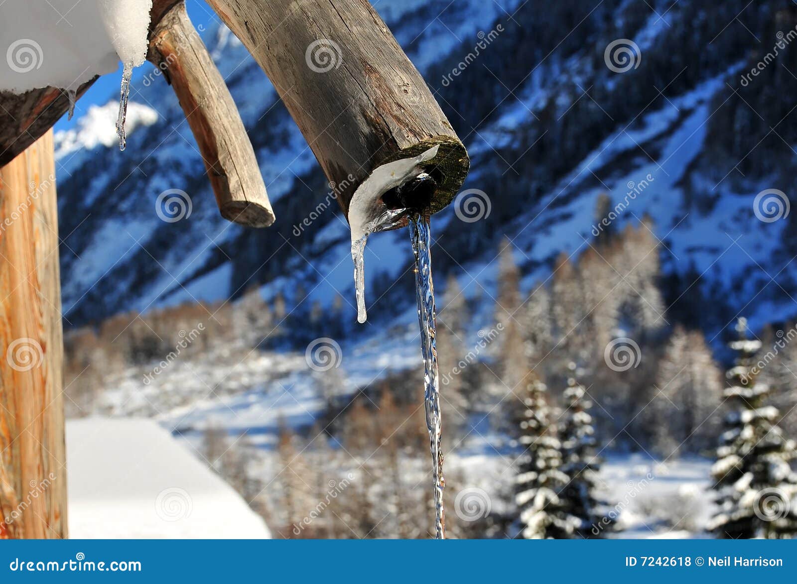 Water Pouring from a Frozen Fountain Stock Photo Image of alps