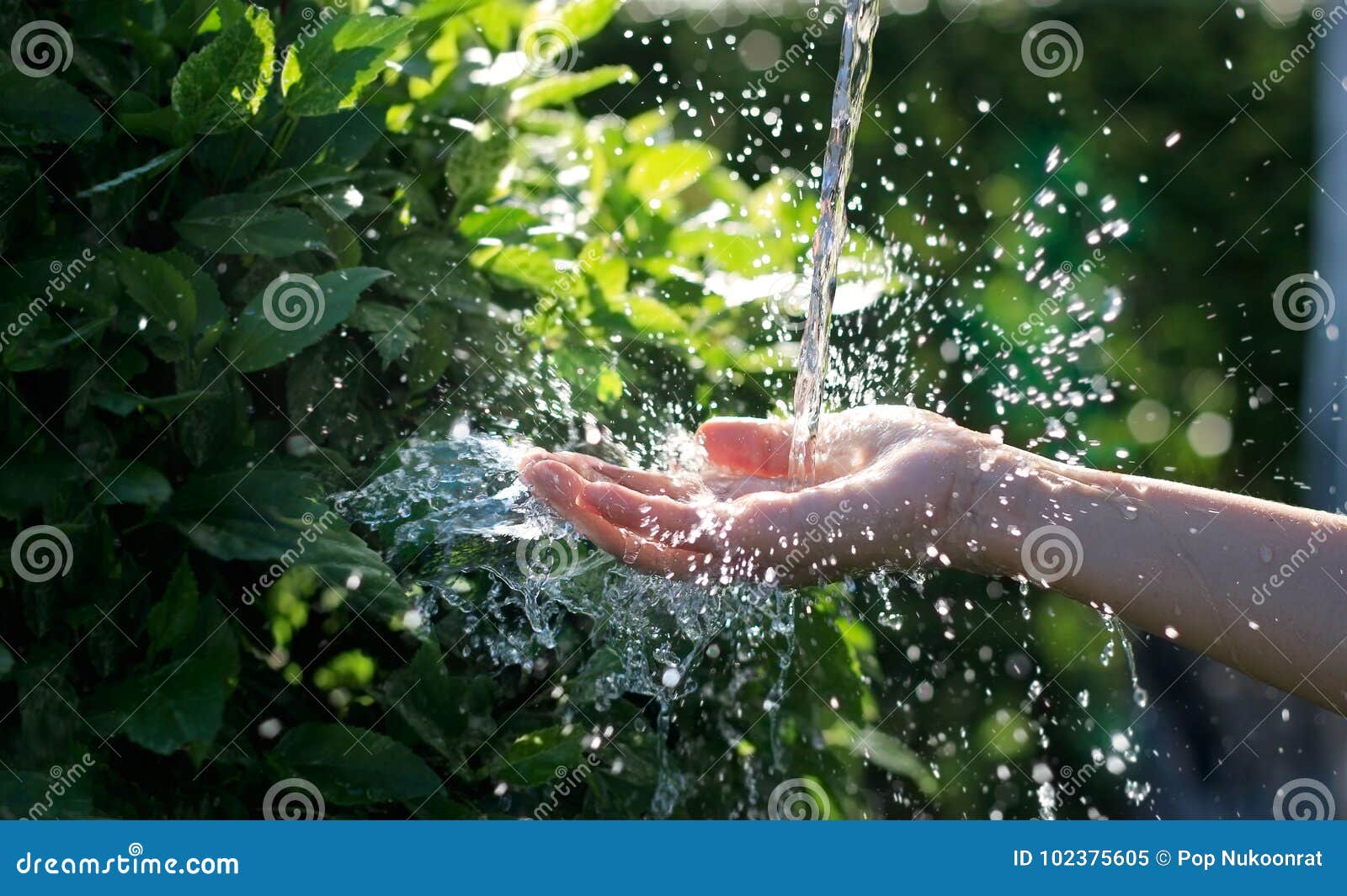 water pouring in human hand on nature, environment issue