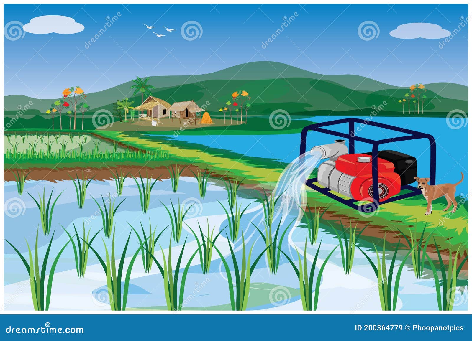 Water Pump is Working in Paddy Field Stock Vector Illustration of