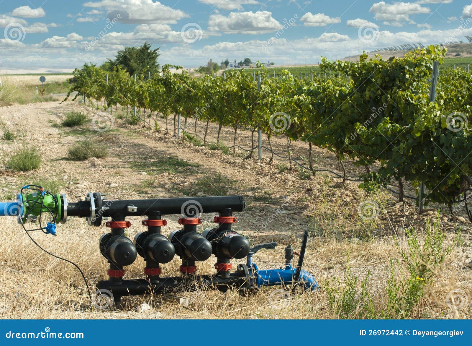 Water Pumps for Irrigation of Vineyards Stock Photo Image of lands