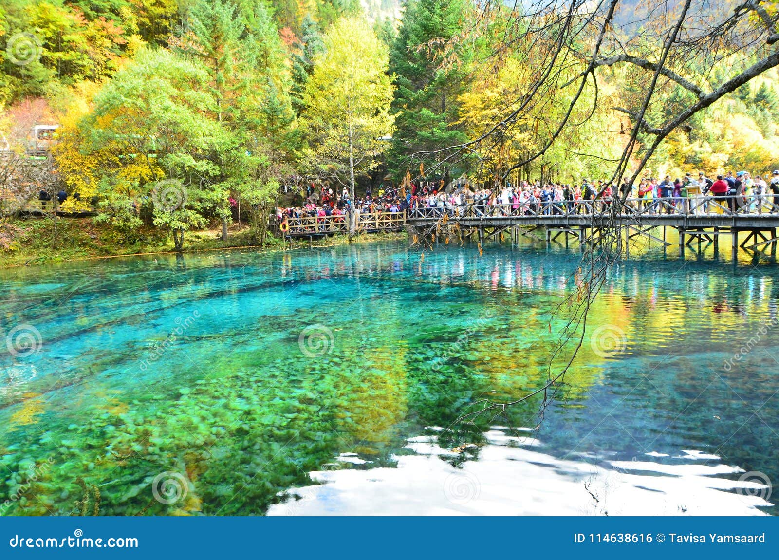 Jiuzhaigou National Park Located In The North Of Sichuan Province In