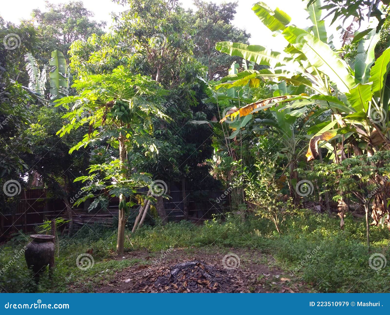 A Water Reservoir in the Garden Stock Image Image of reservoir, green
