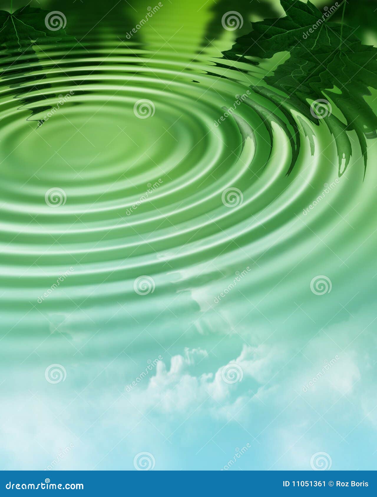 Water ripple in forest stock image. Image of lush, forest - 11051361