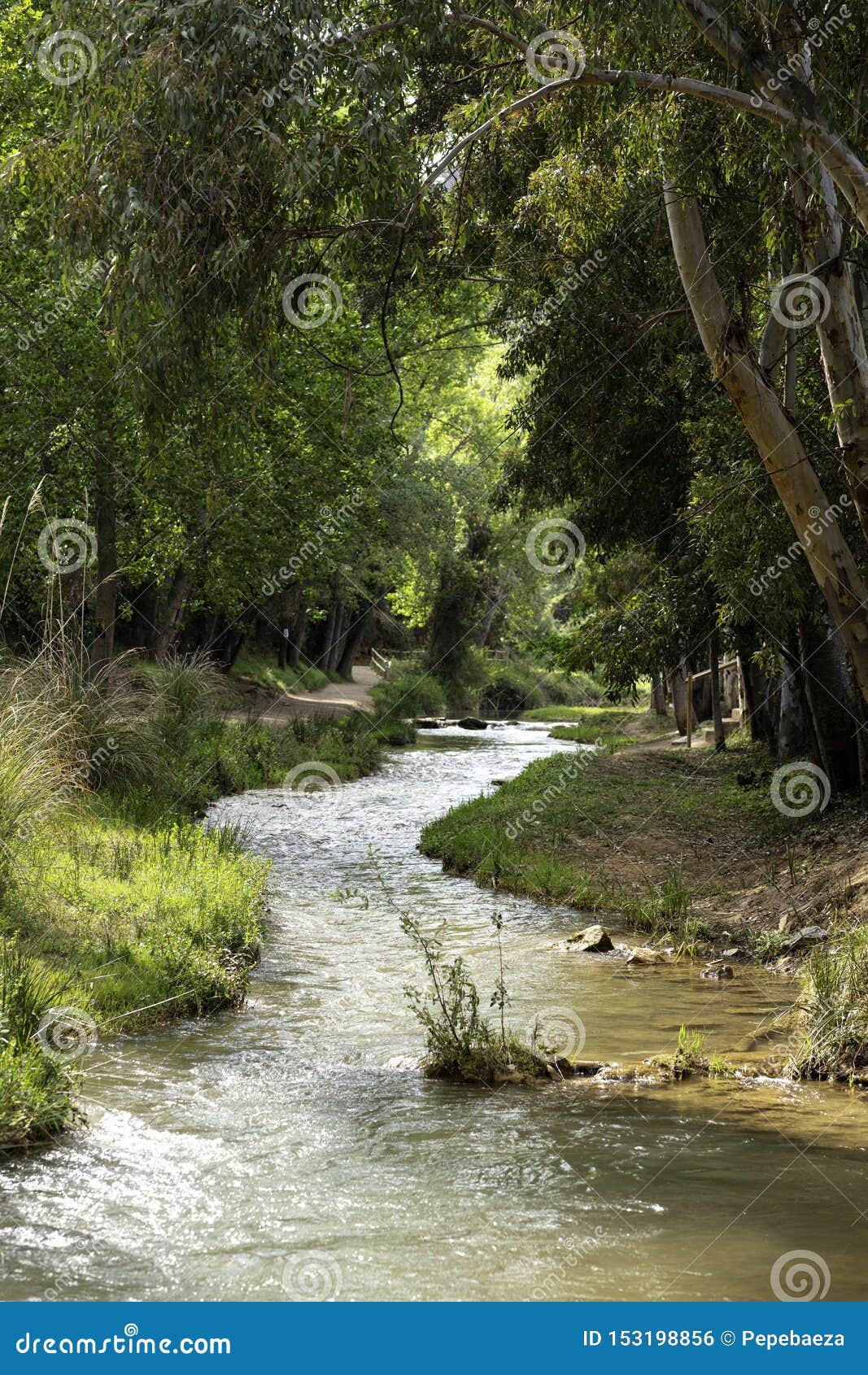 water route with river flowing v