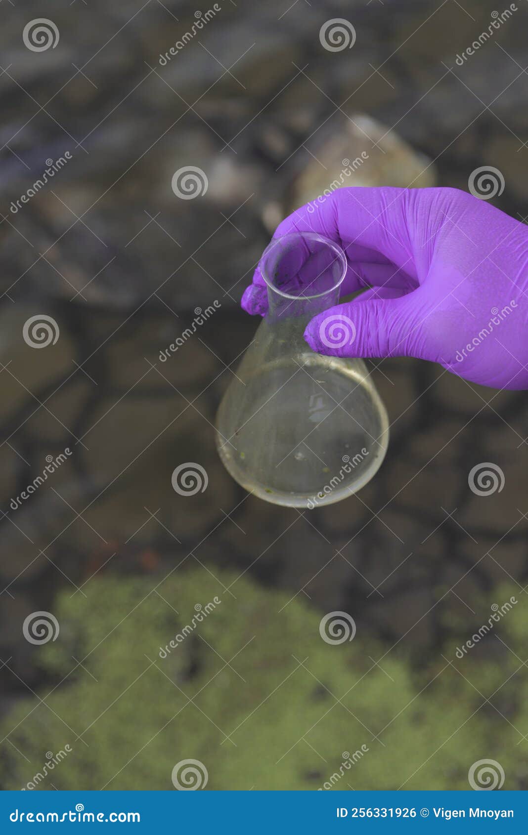 A Water Sample from the River. Hand in Glove Collects Water in a Test