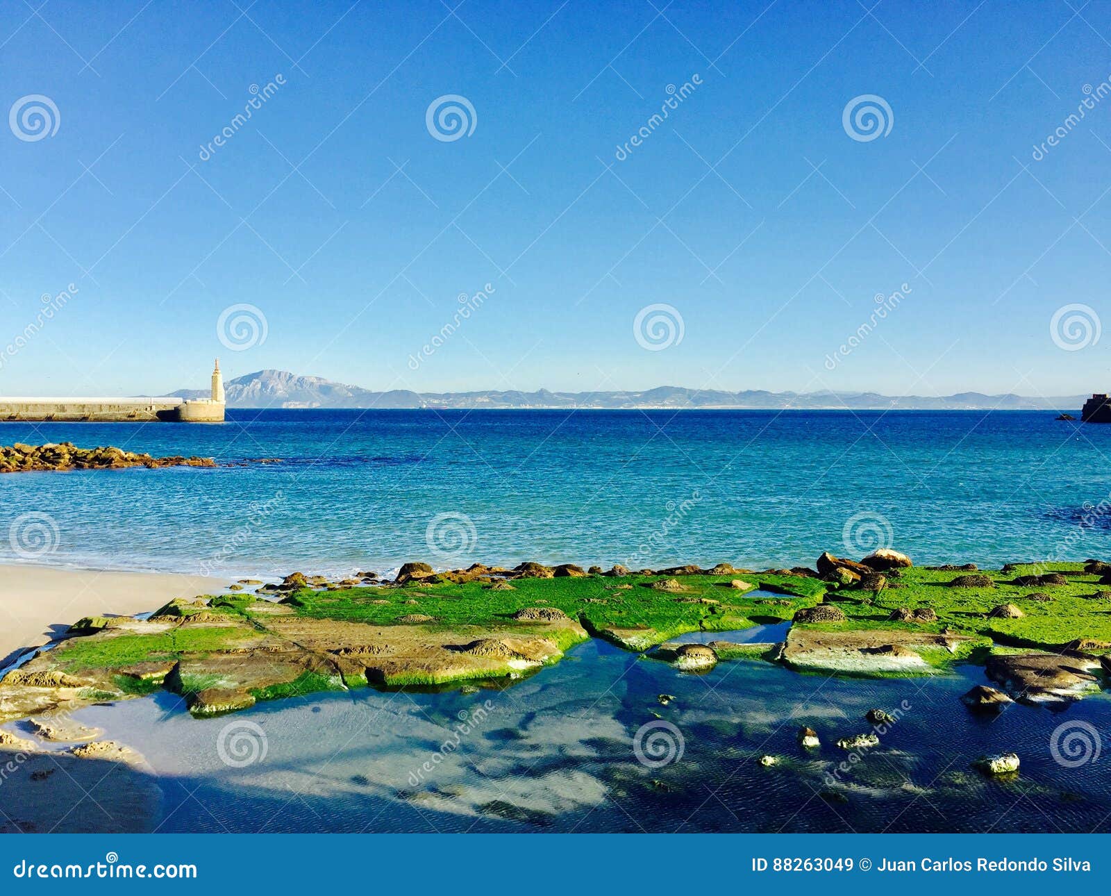 water sea beach continents spring