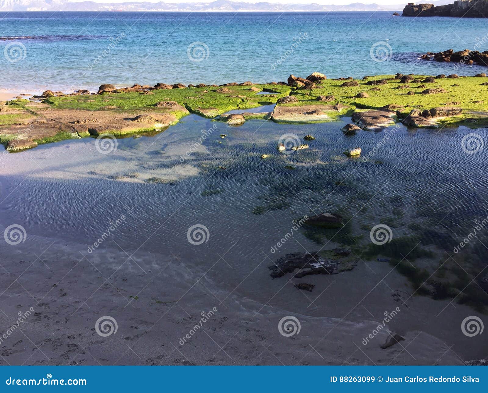 water sea beach continents spring