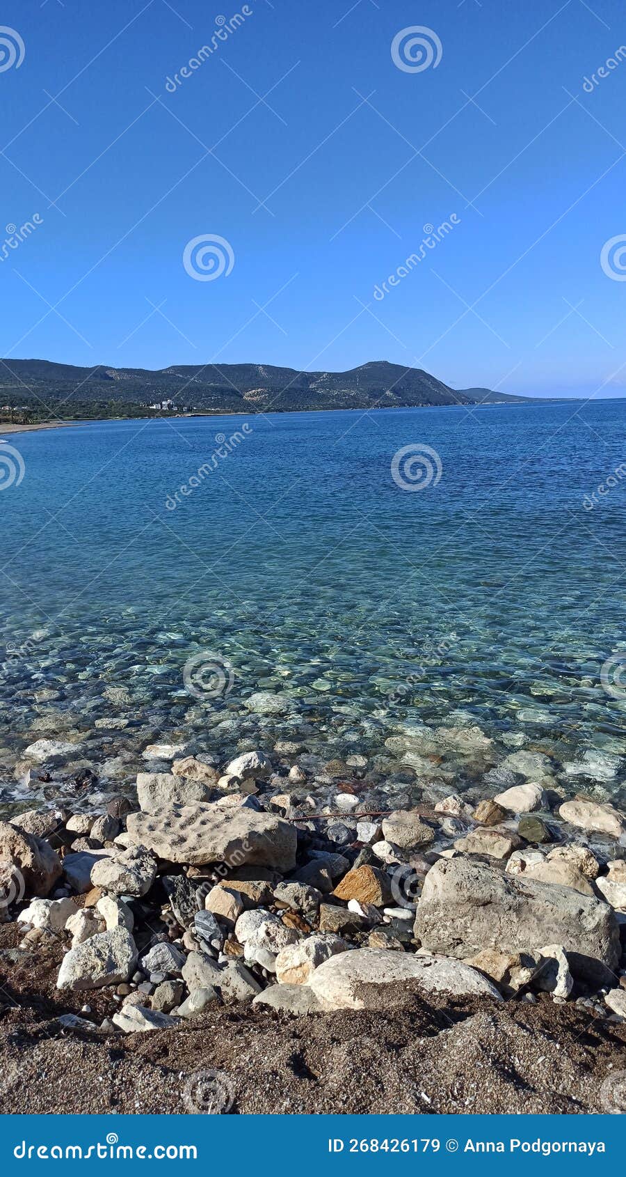 Water sea winter Cyprus stock image. Image of plant 268426179