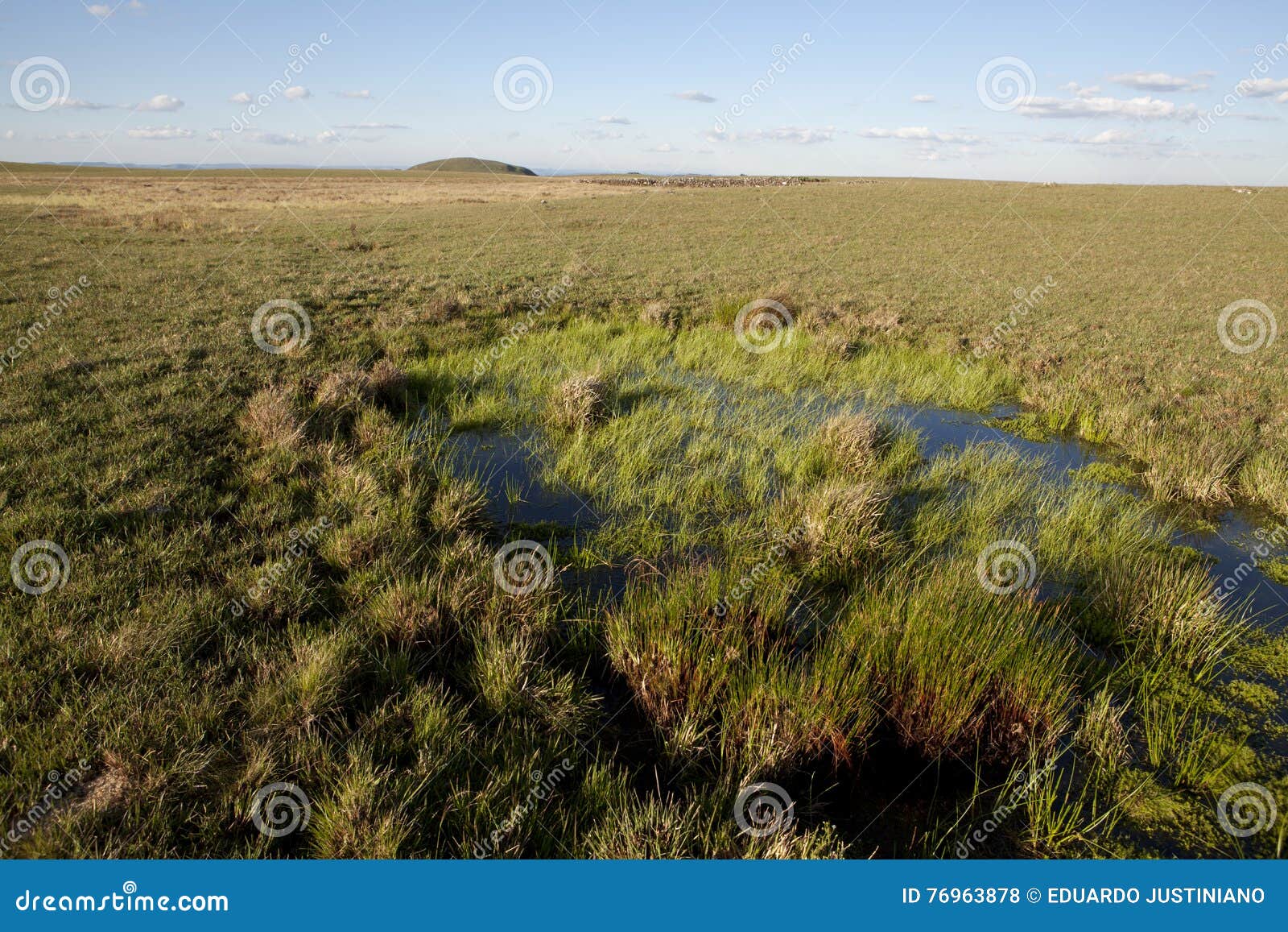 water source