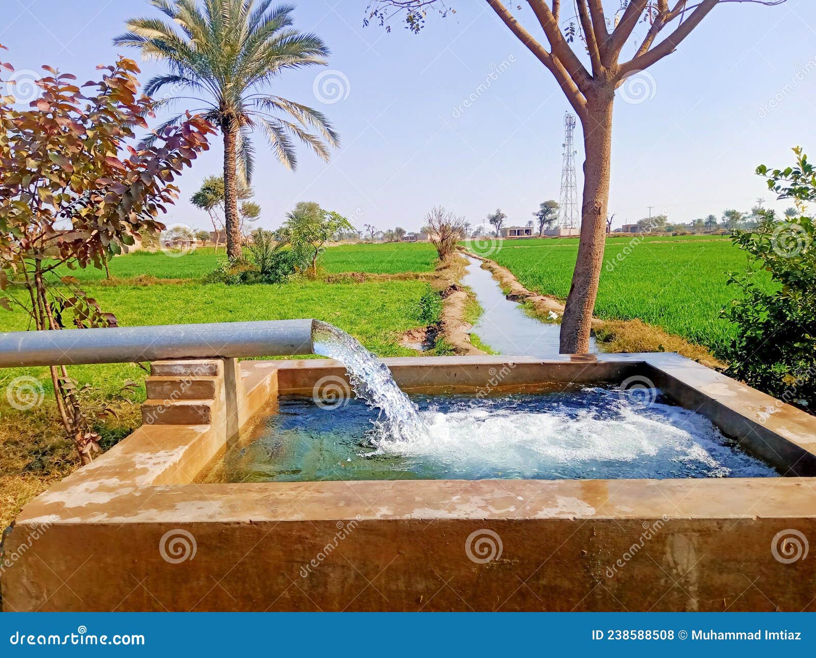 Water Source (Tubewell) stock photo. Image of plant 238588508