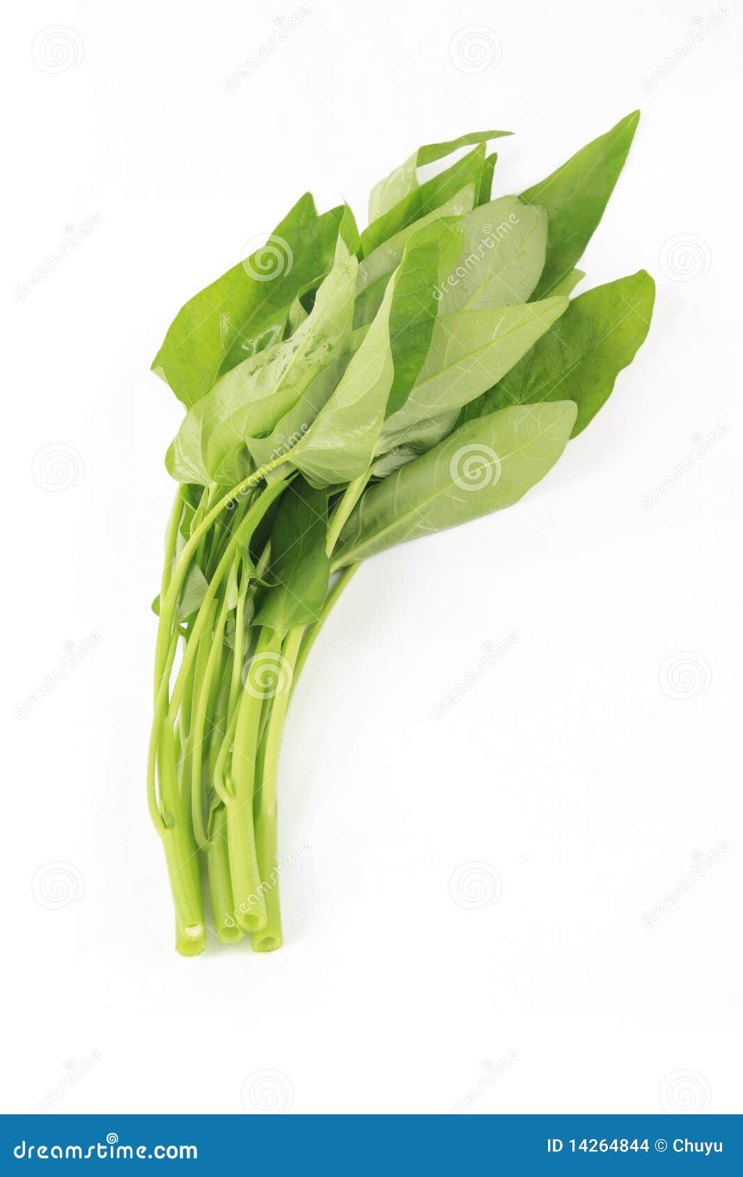 Water Spinach Swamp Cabbage Kangkong Royalty-Free Stock Photo