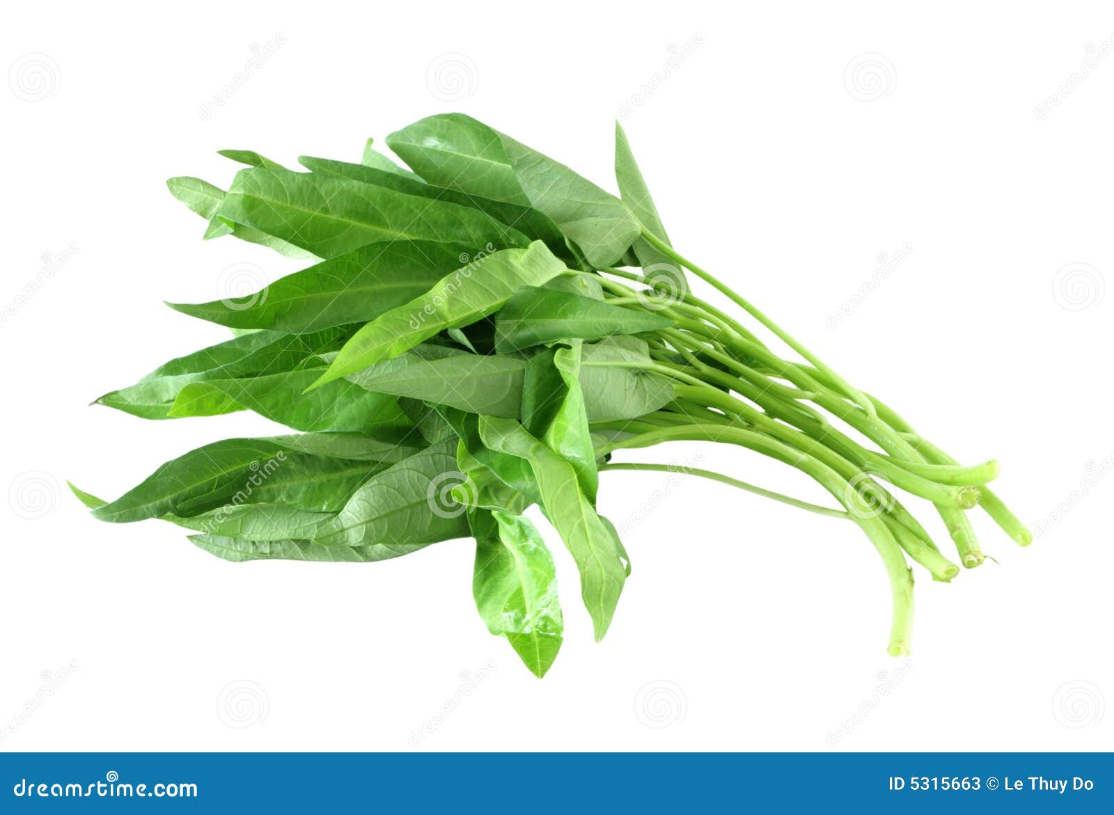Water Spinach stock image. Image of choy, ipmoea, water - 5315663