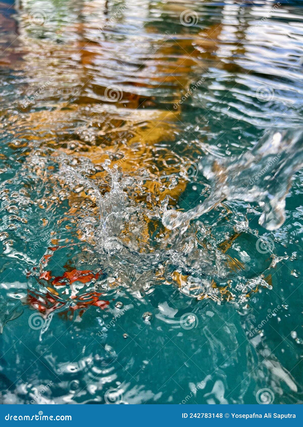 water splash on a koi`s pool
