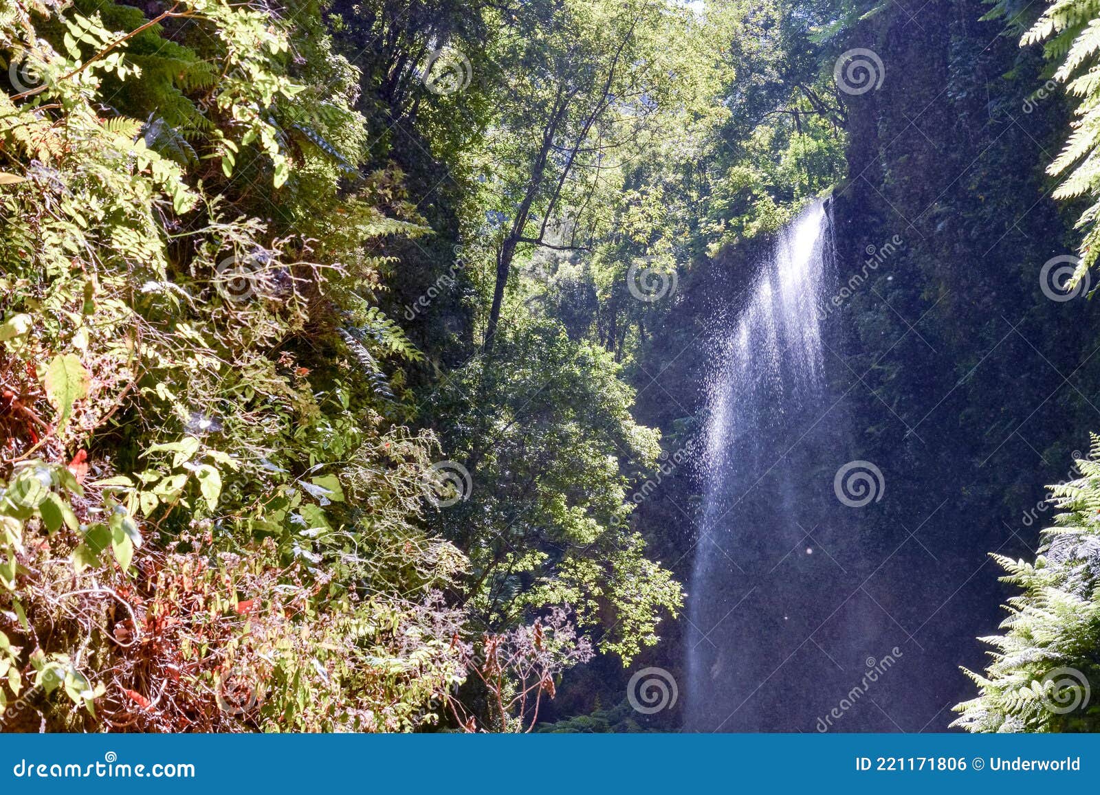 Water Splash Waterfall stock photo. Image of nature 221171806