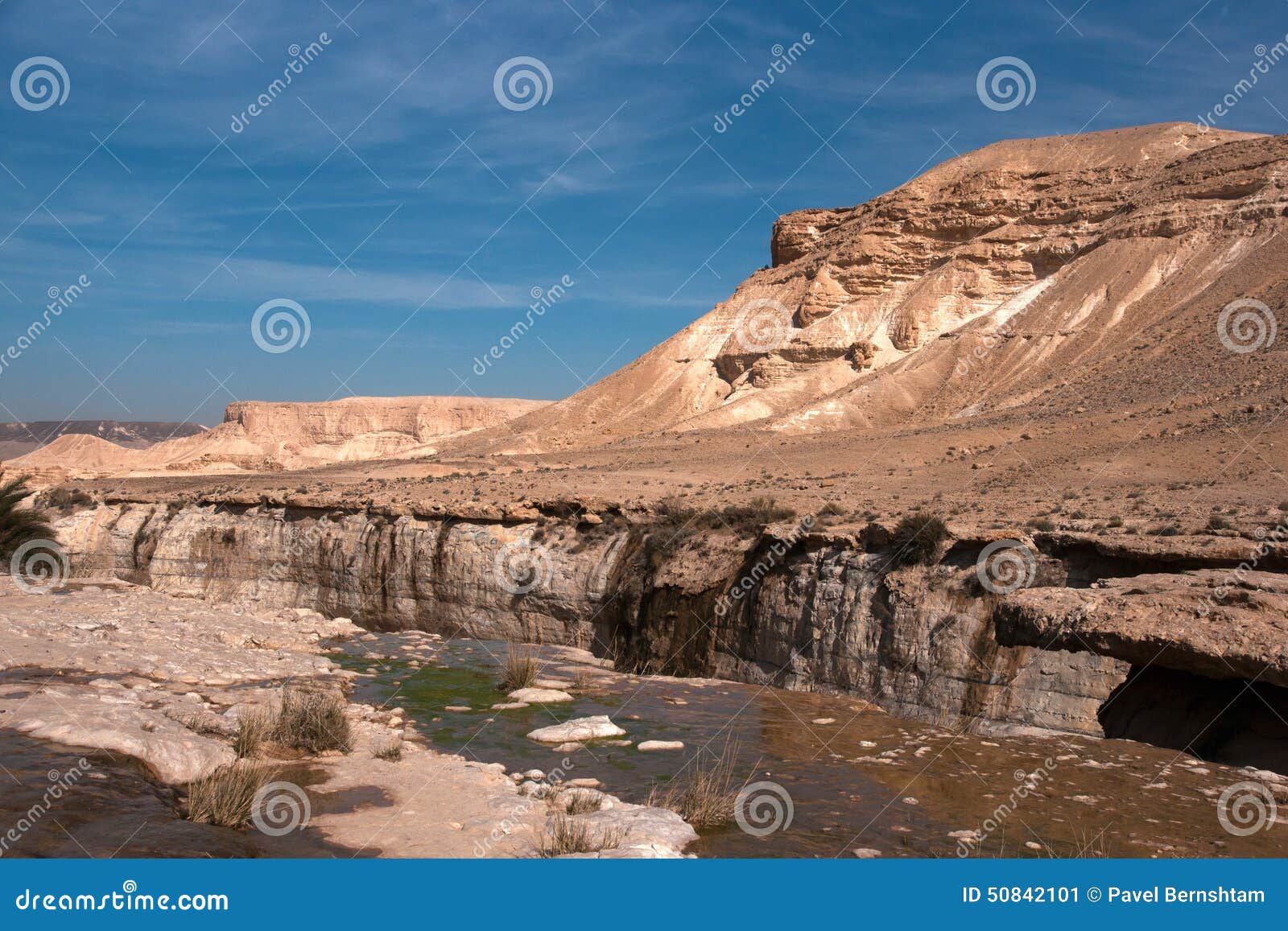 Water spring in a desert stock image. Image of ecology 50842101