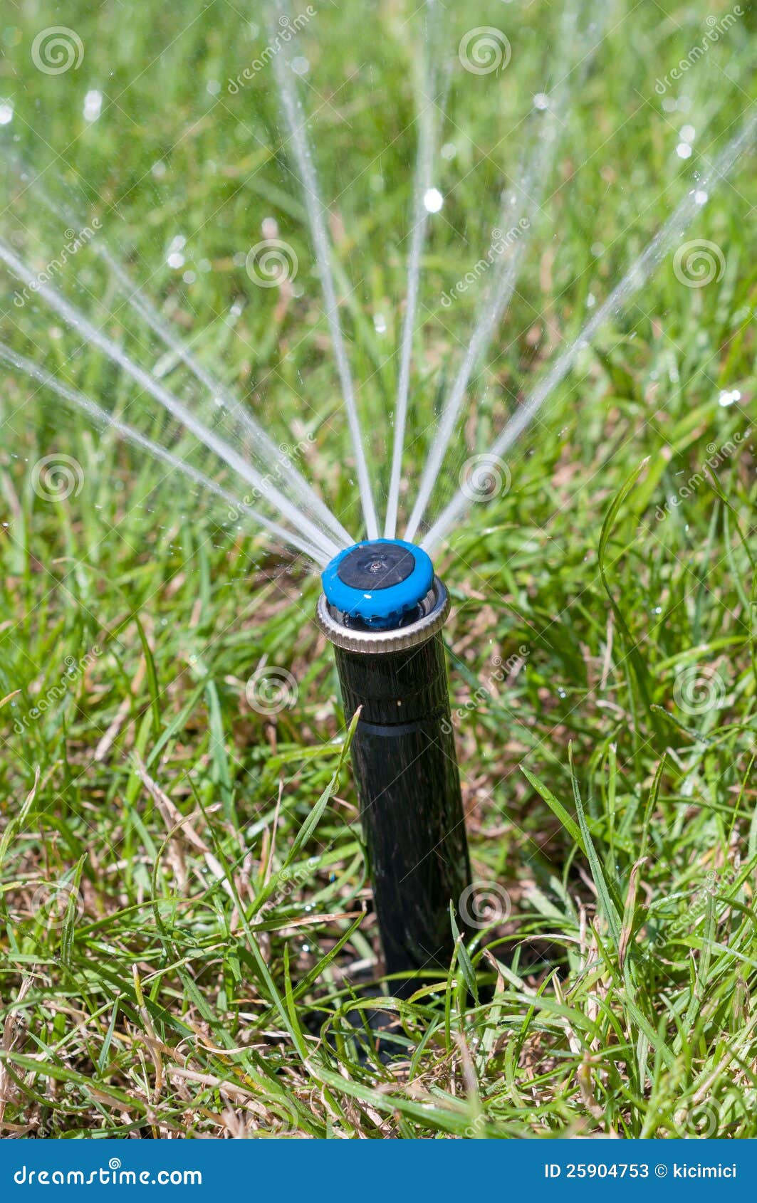 Water Sprinkler Garden Automatic Irrigation System Stock Image