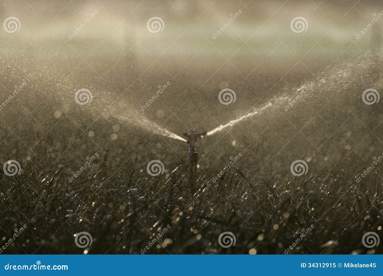 Water sprinklers on crops stock image. Image of tree 34312915