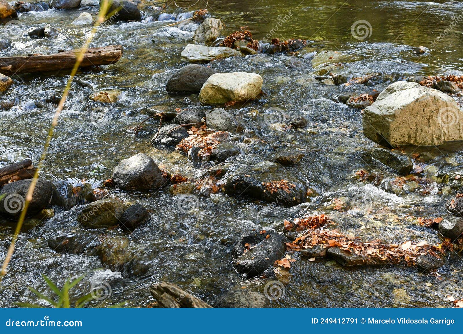 water of the stream between the stones