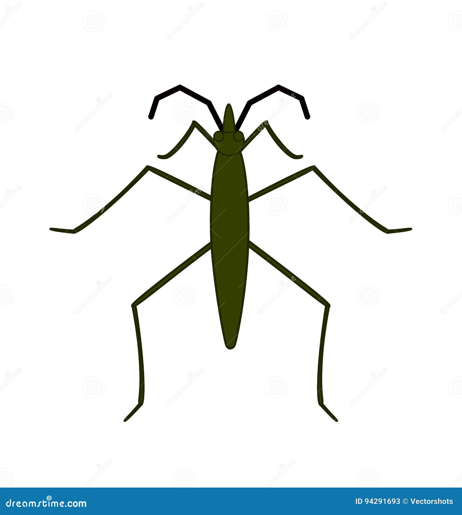 Water Strider Vector stock vector. Illustration of sign 94291693