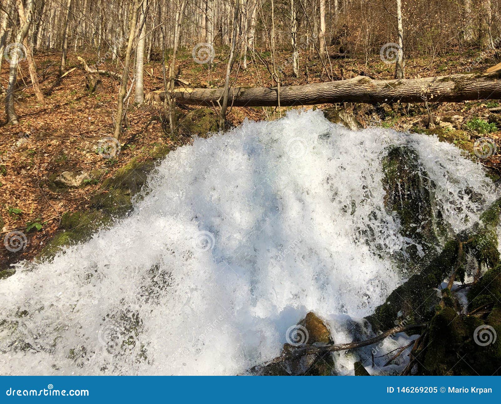 water supply flowing source tschuder with waterfall and karst spring or karstquelle tschuder, schwende