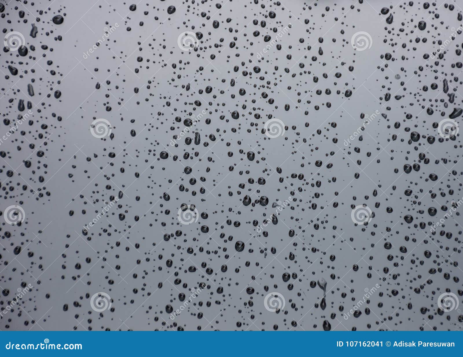 Water Drops on car paint stock image. Image of surface 107162041