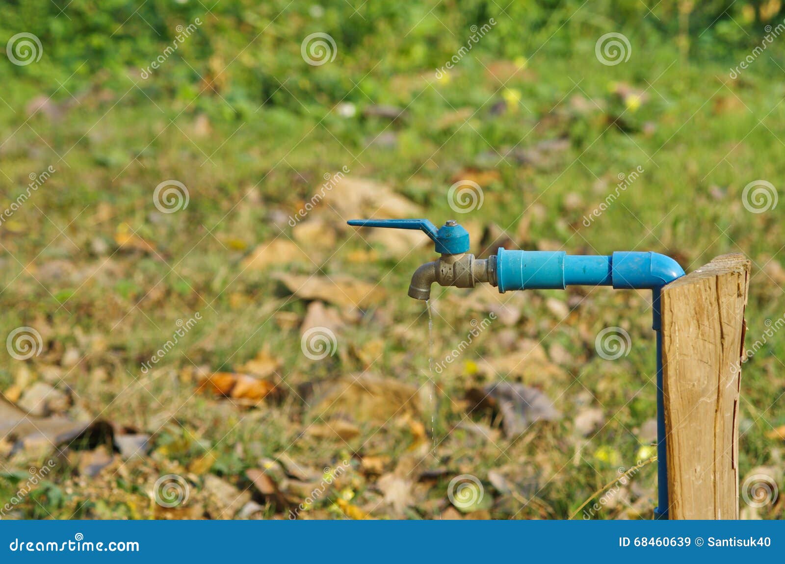 Water tap in garden stock image. Image of open, object 68460639