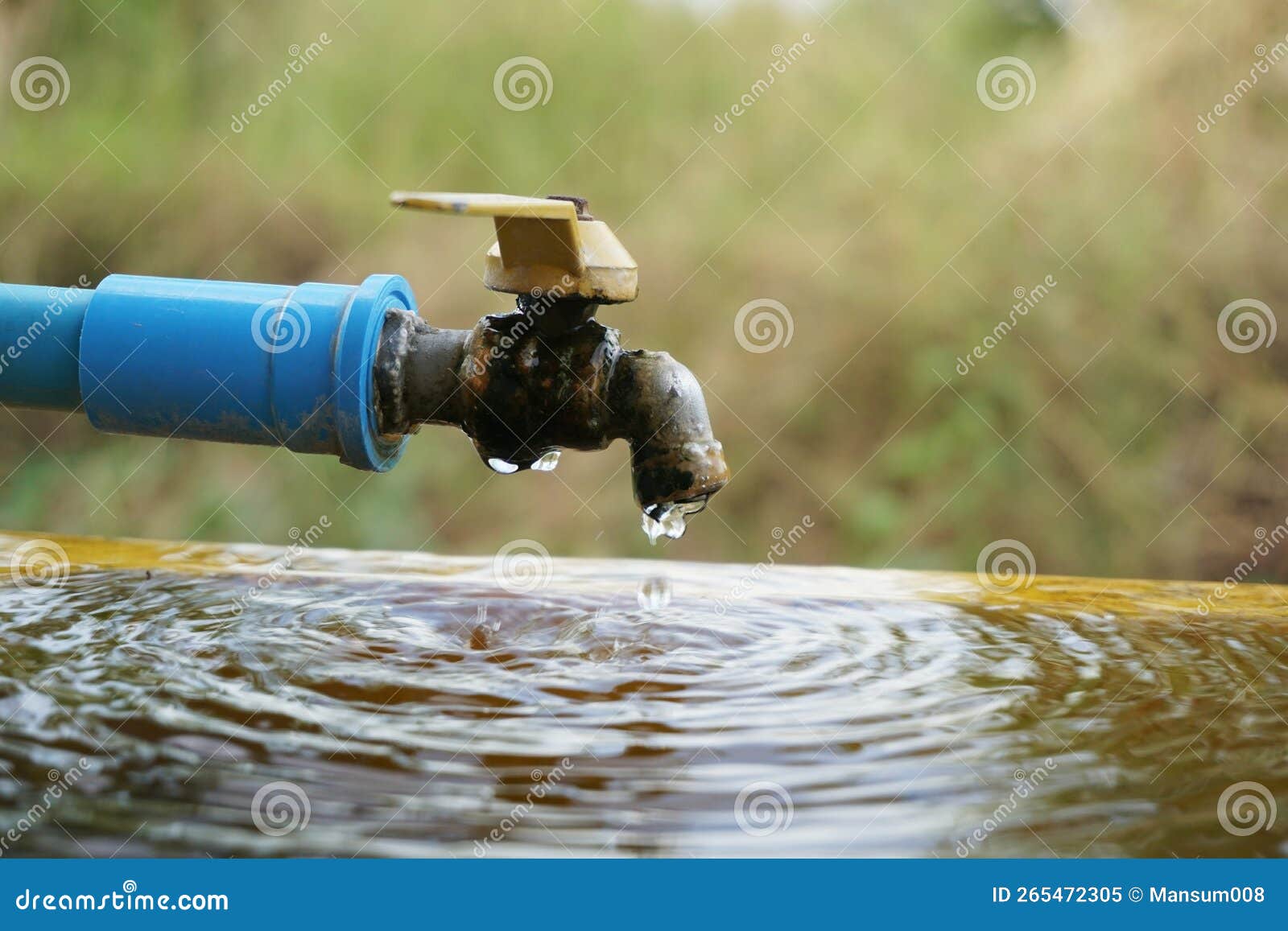 Water tap with a hose stock image. Image of water, summer 265472305