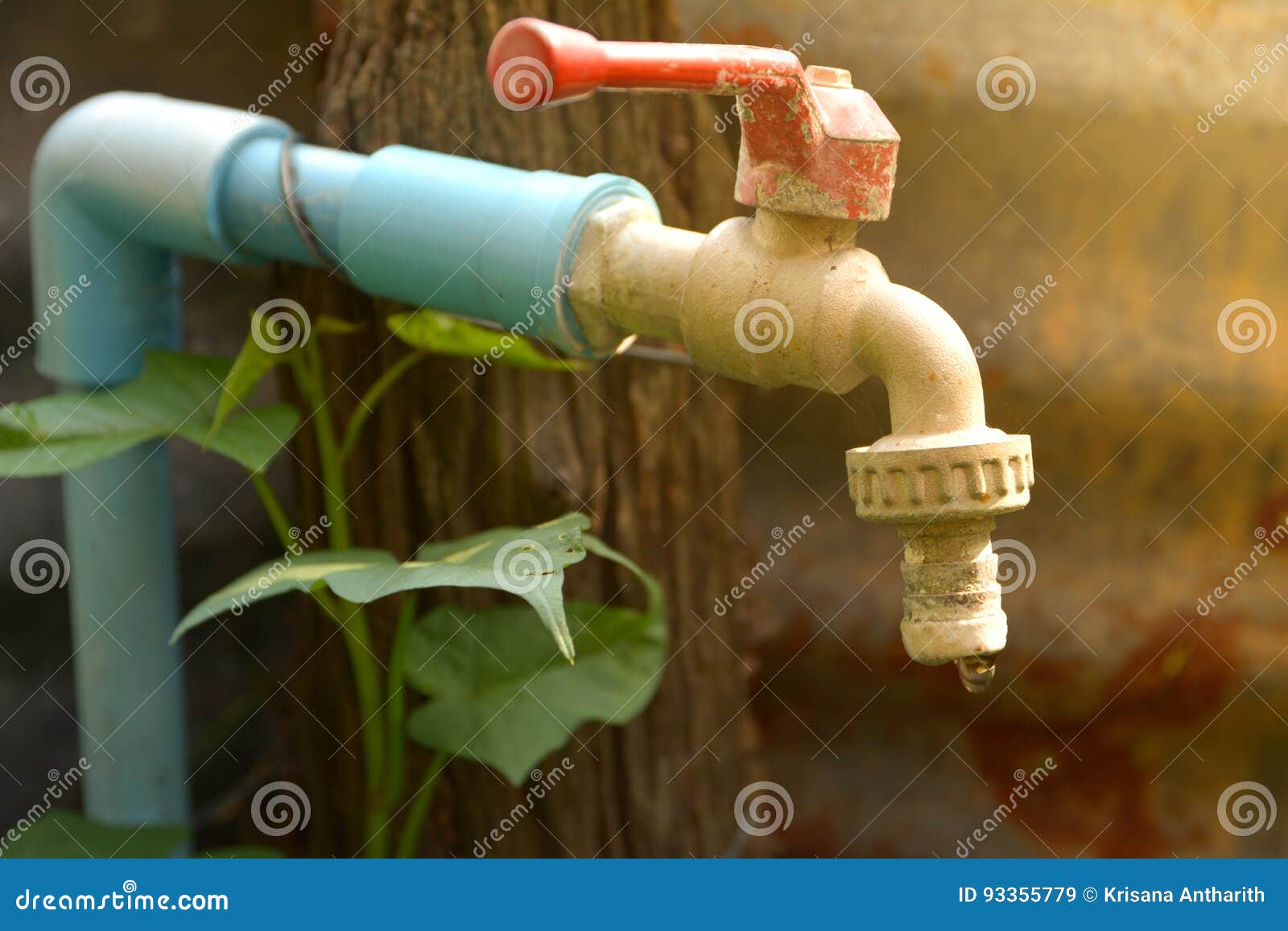 Water Tap with Water Drop with Leave on Rusty Zinc Sheets. Stock Image Image of rusty, liquid
