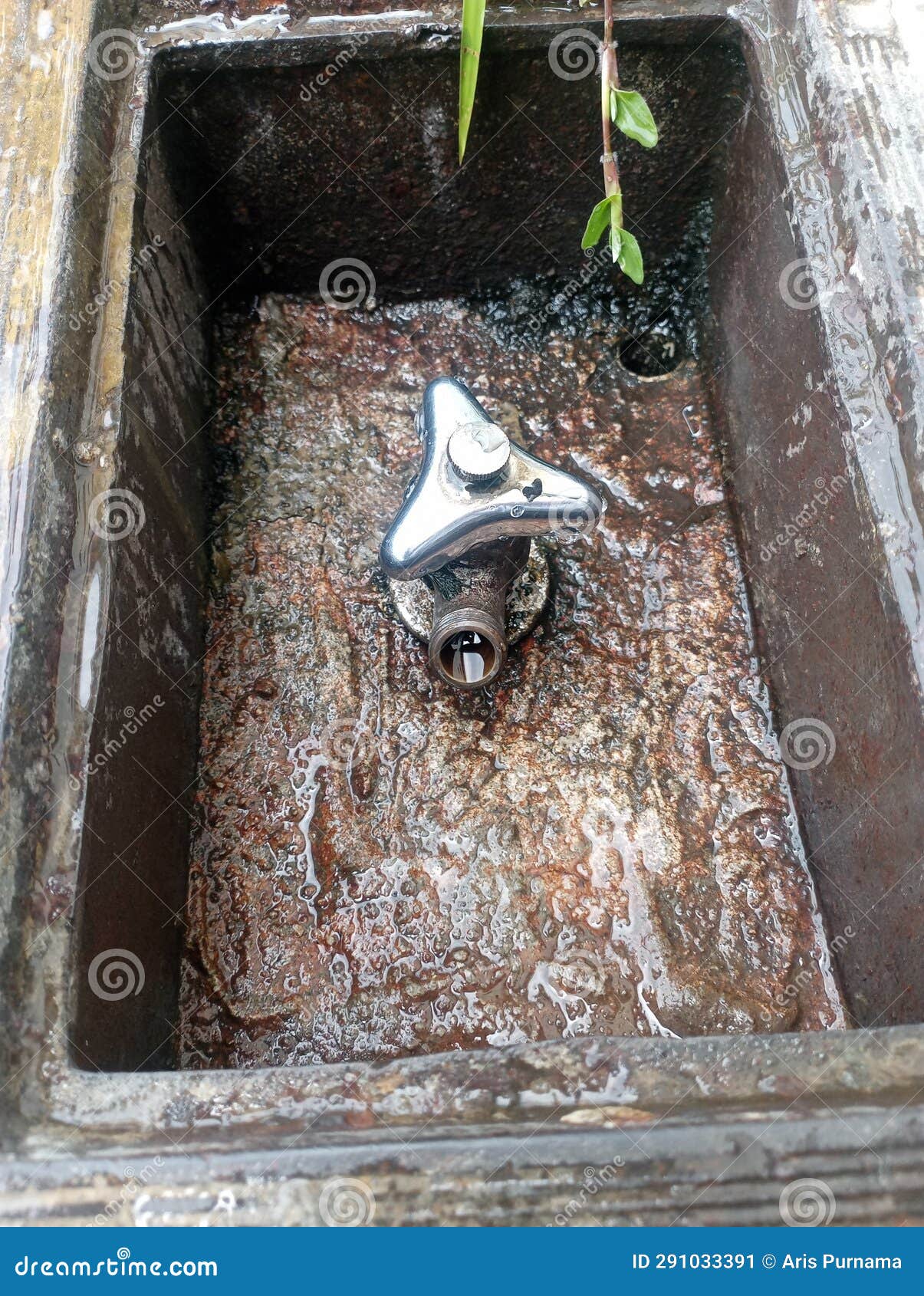This is a Water Tap for Watering Plants in the Garden Stock Image