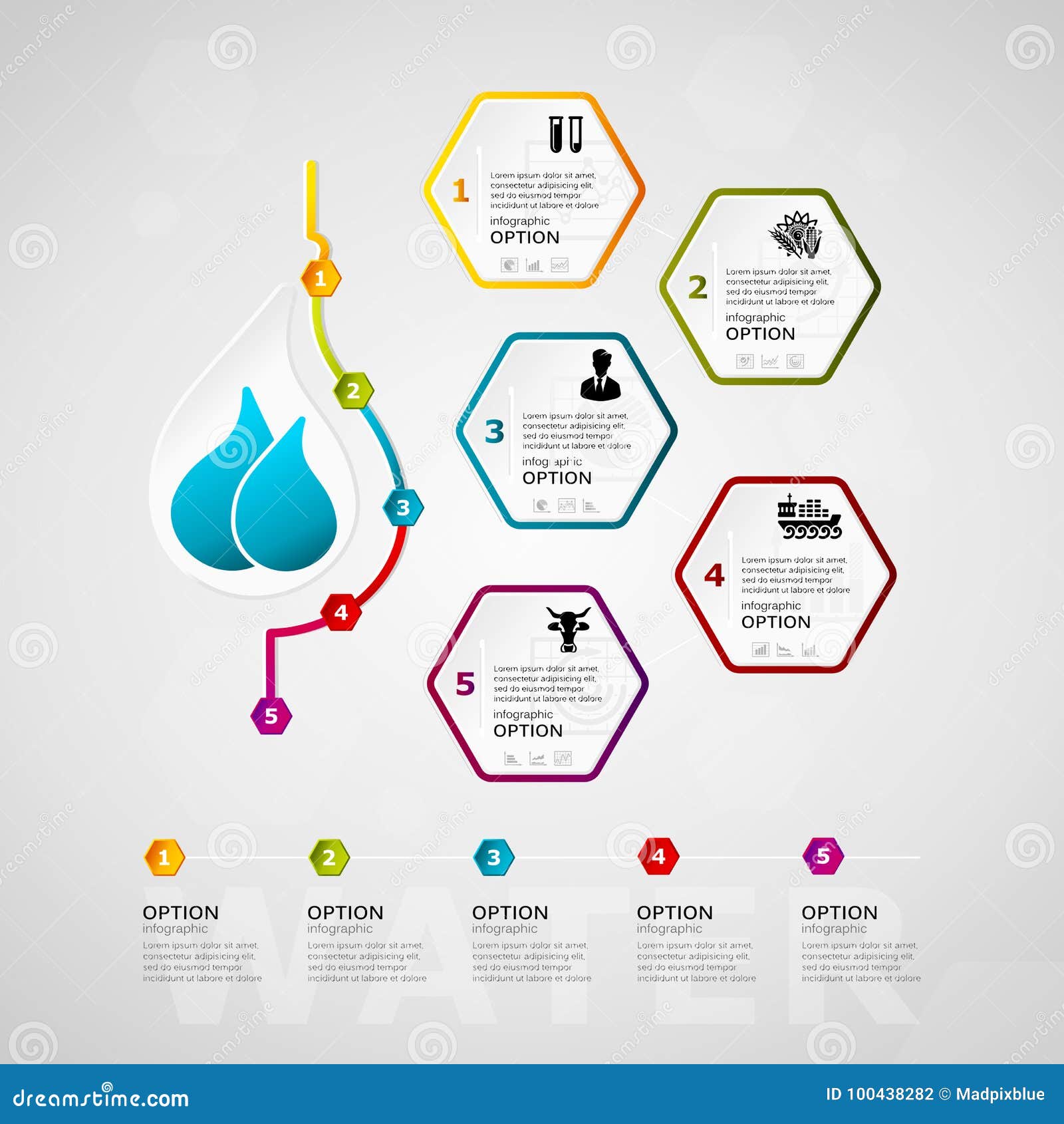 Water Timeline Infographics Stock Vector Illustration of animals, timeline 100438282