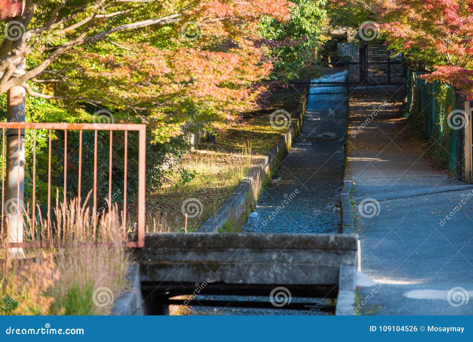 The Water Trough or Moat for Irrigation Stock Photo Image of color