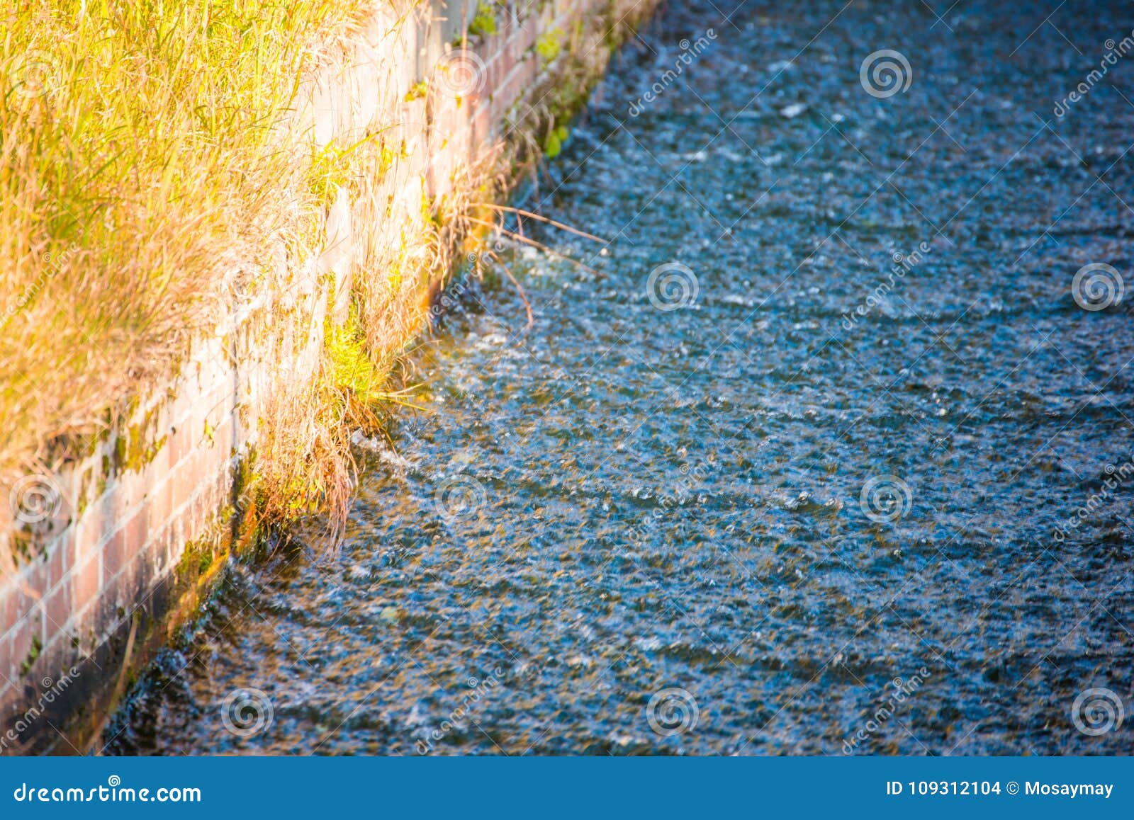 moat irrigation