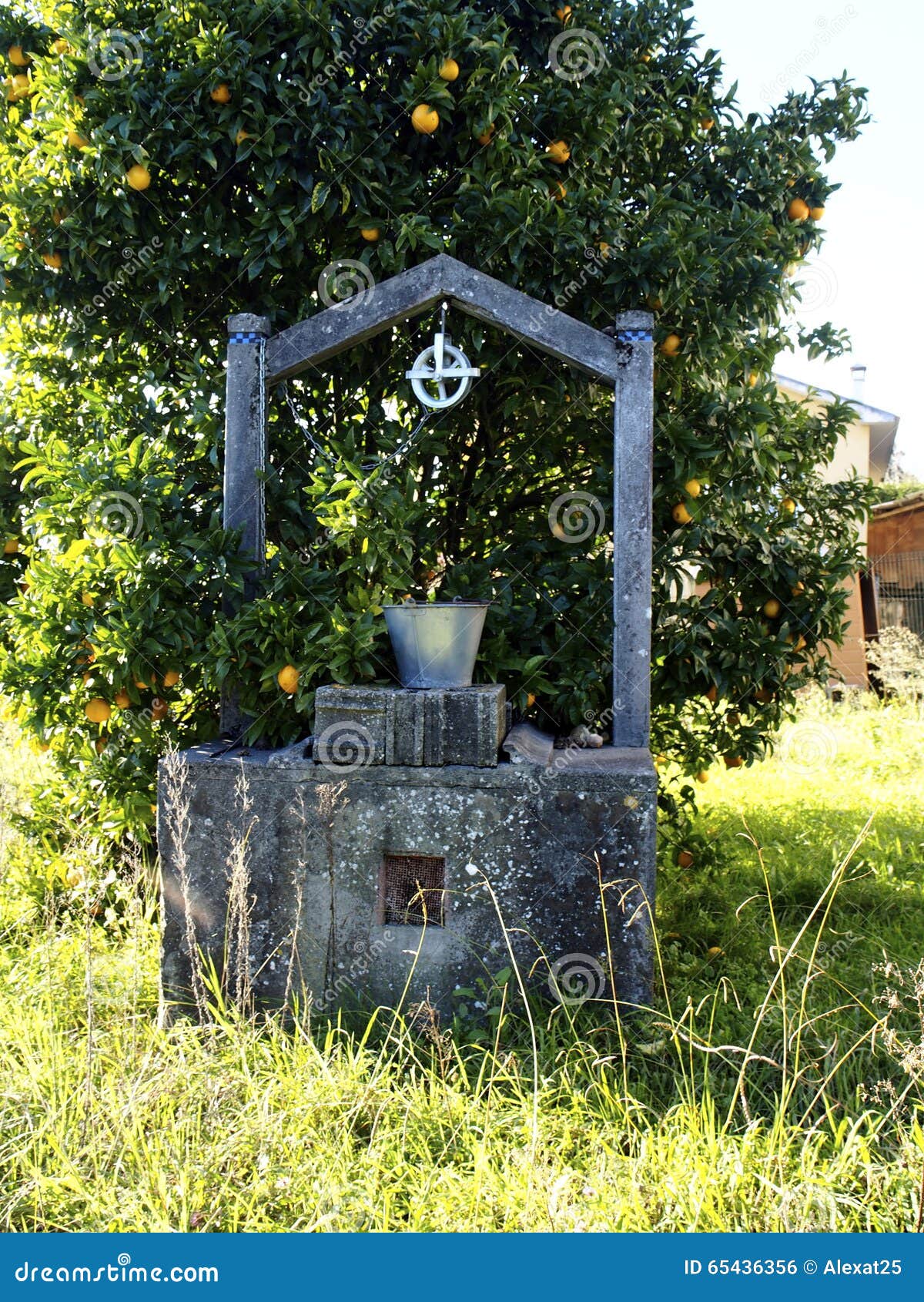 Water well stock photo. Image of green, outdoors, nature 65436356