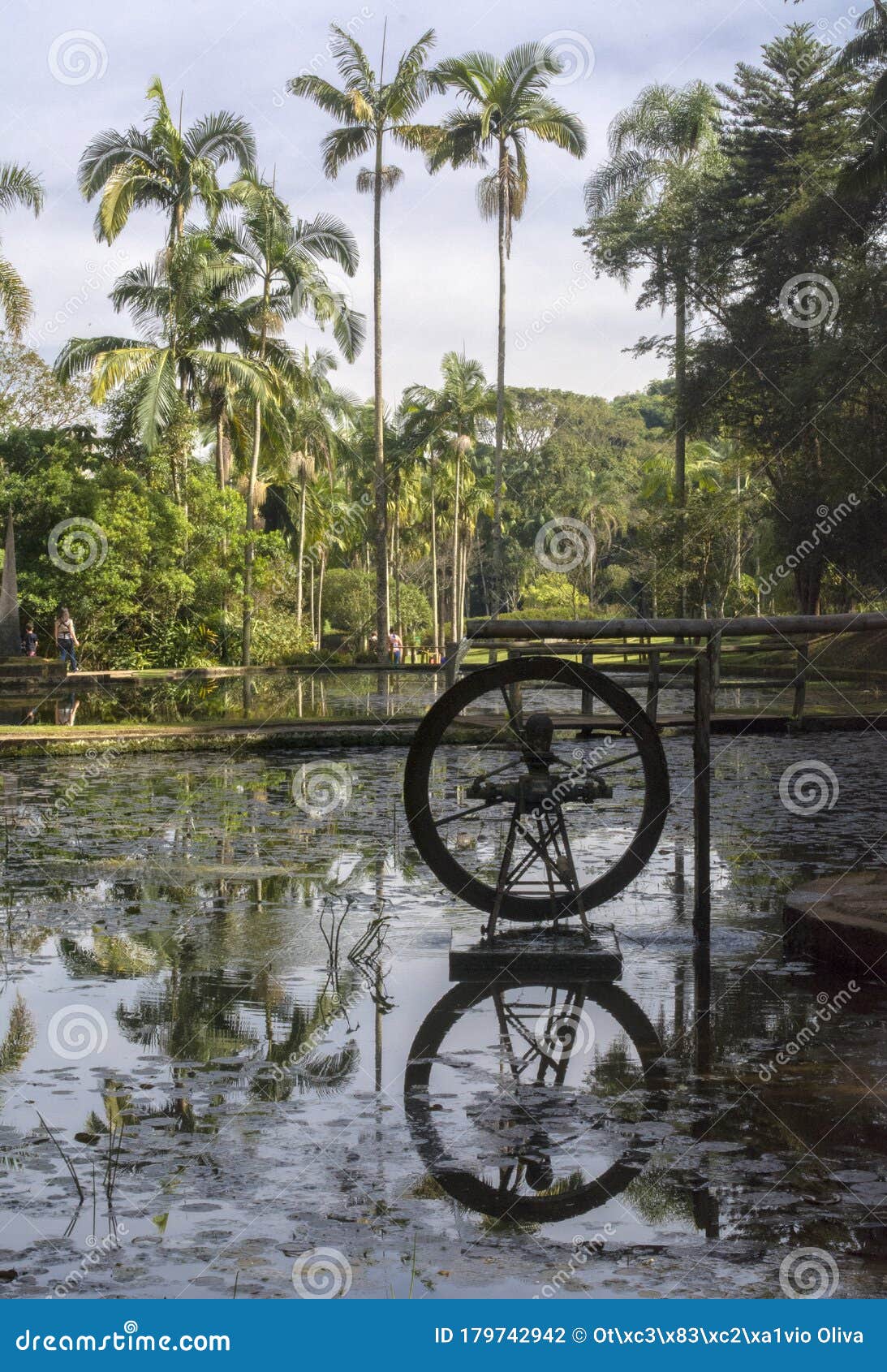 water wheel at the botanical garden of sao paulo - jardim botÃÂ¢nico de sÃÂ£o paulo