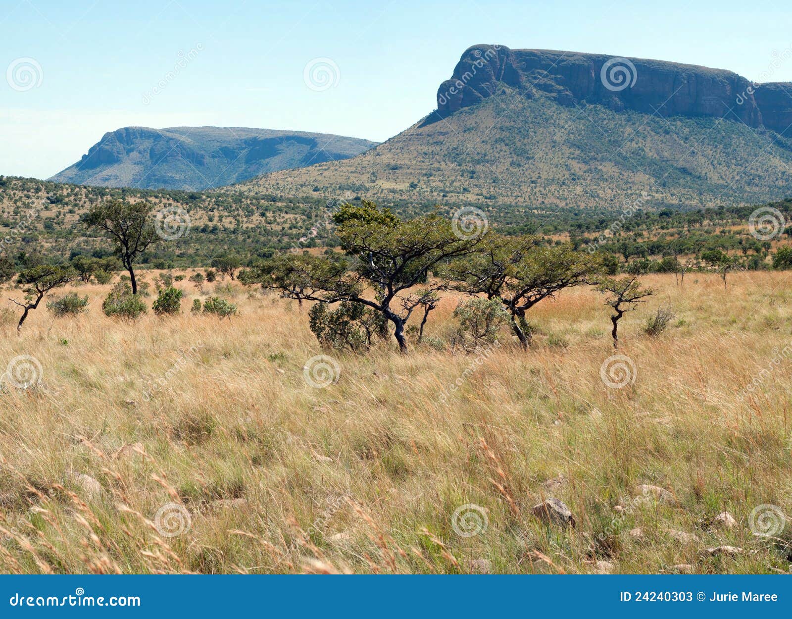 Waterberg Panorama. stock image. Image of space, remote 24240303