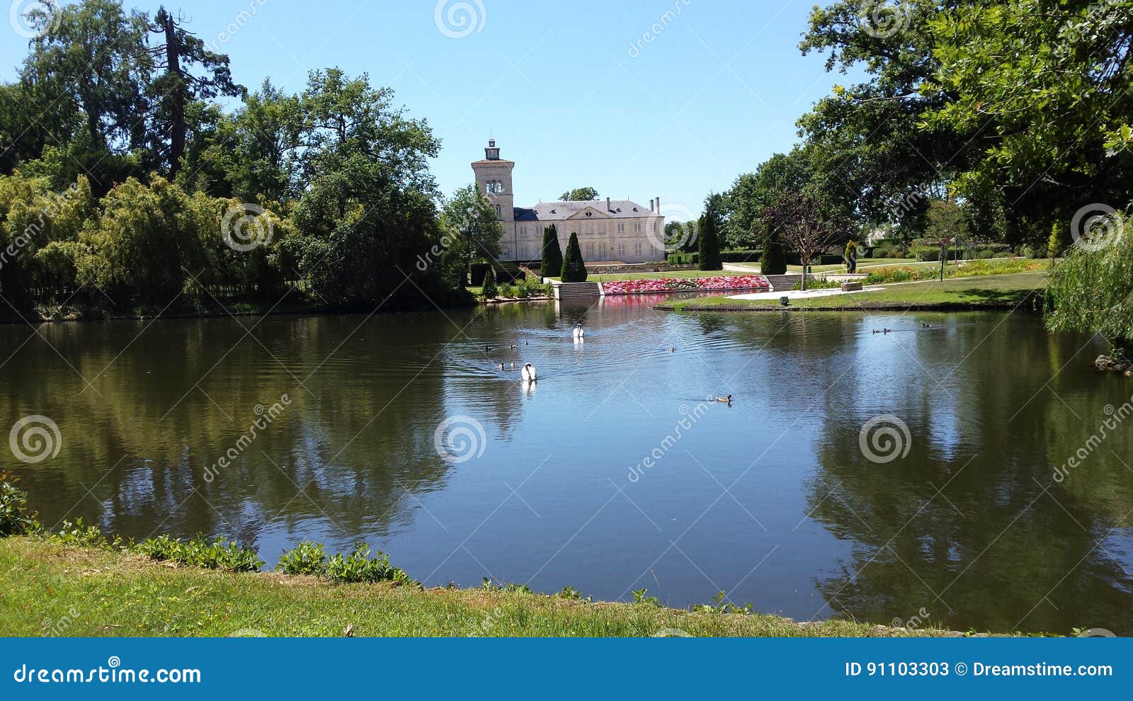 waterbirds in lake at french chateau