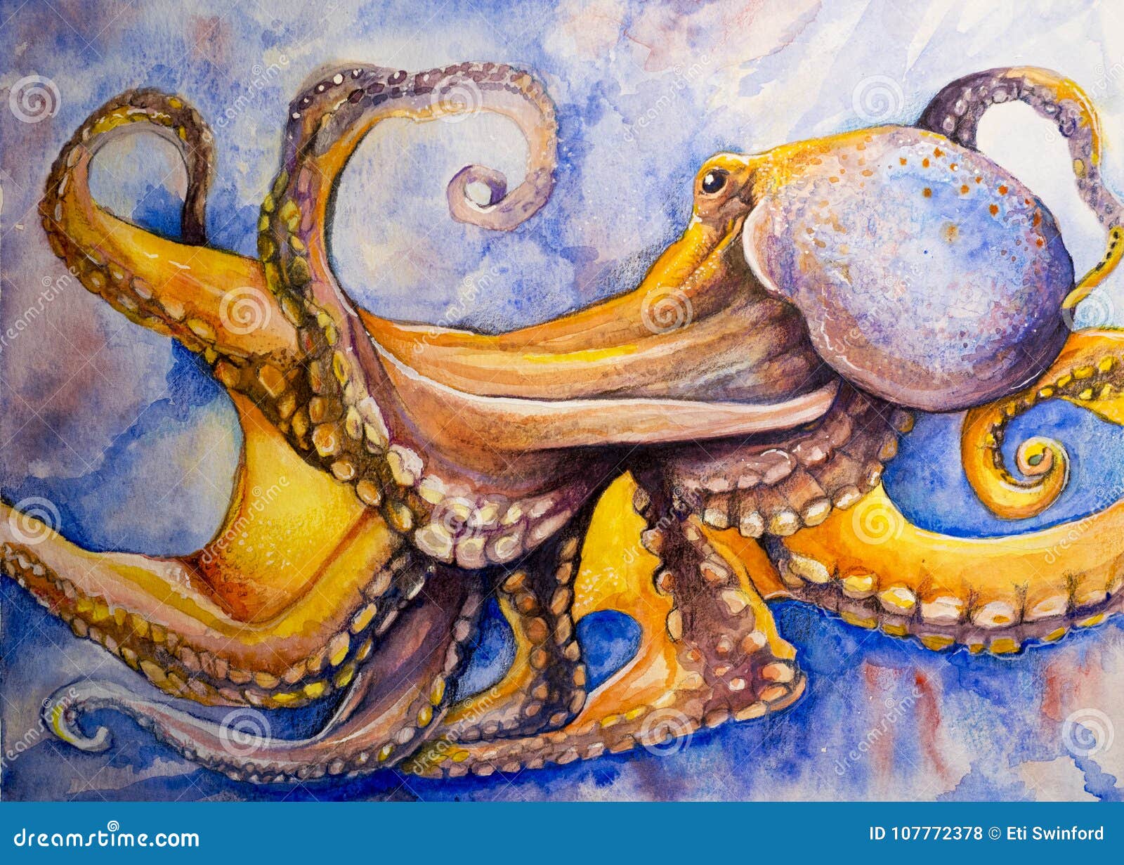 watercolor art octopus