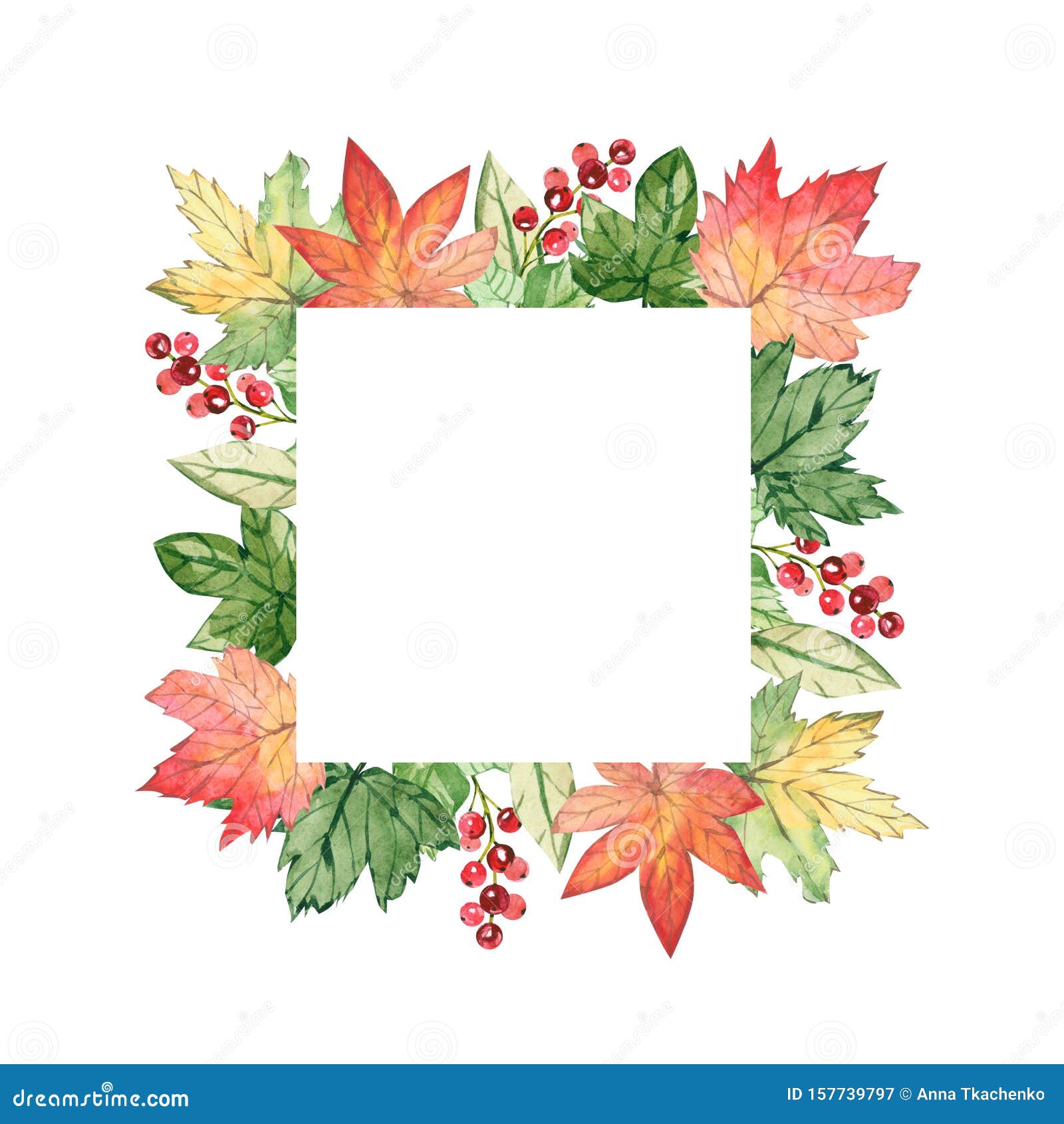 Hand drawn vector winter floral elements. Winter branches and