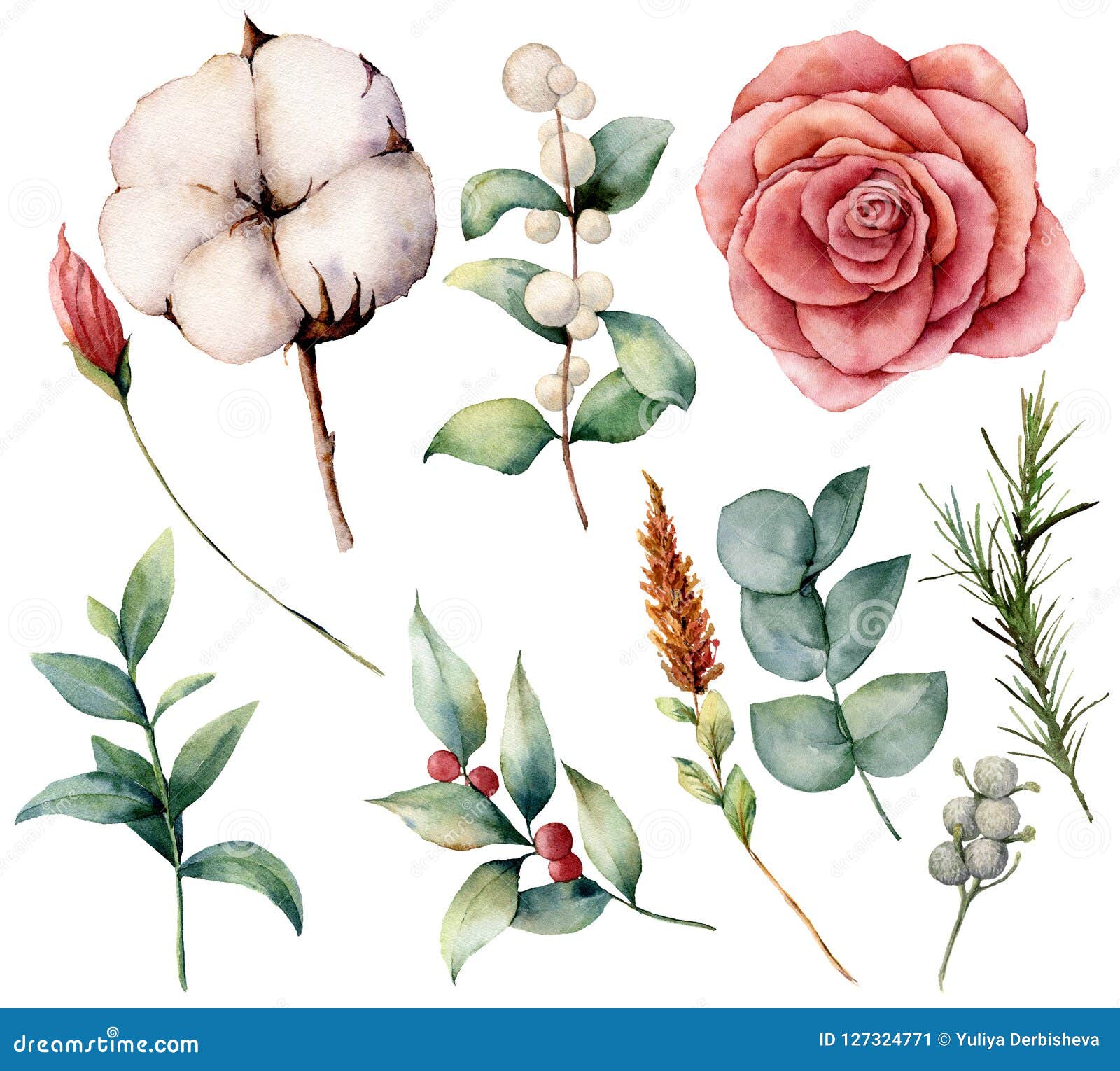 Watercolor Autumn Set With Plants Flowers And Berries Hand Painted Cotton Rose Lagurus Leaves And Branches Isolated Stock Illustration Illustration Of Flower Botany Watercolor Autumn Set With Plants Flowers And Berries Hand Painted Cotton Rose Lagurus Leaves And Branches Isolated Stock Illustration Illustration Of Flower Botany