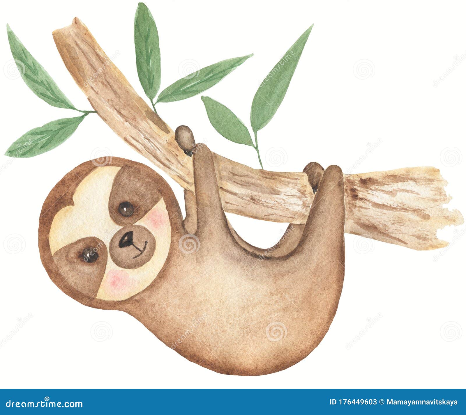 Watercolor Baby Sloth on the Tree Illustration. Little Animal Clipart.  Tropical Animals  Shower Graphics. Birthday Card Stock Illustration  - Illustration of animal, lazy: 176449603