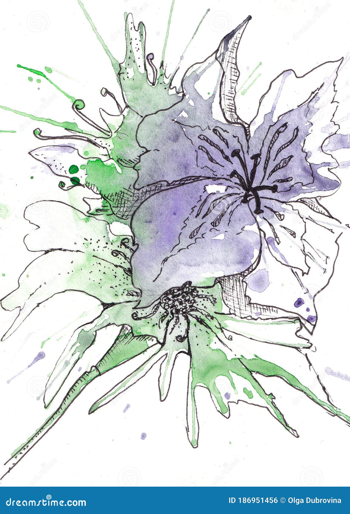 Watercolor Background Lilac And Green Color, Spot Of Paint With Splashes. Top View - Drawing With A Black Pen. Graphics Blooms In Stock Illustration - Illustration Of Colorful, Cover: 186951456